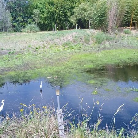 Willa Pilmaiquen Riachuelo Zewnętrze zdjęcie